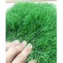 Искусственная трава Pelegrin 50 мм