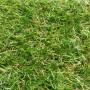 Искусственная трава Tropikana 20 мм
