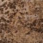 Ковролин Wilkins Sahara 1000 03 Brown